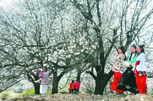 jrs直播无插件NBA直播赛事封面